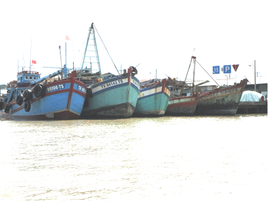 Công bố mở Cảng cá Định An, thị trấn Định An, huyện Trà Cú